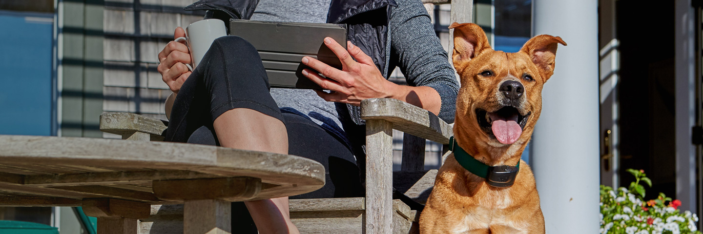 DogWatch of the Carolina Coast, Wilmington, NC | ProFence Slider Image